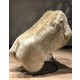 Seçili Renk Camel