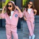  Renk Pembe