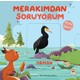 Seçili Renk Çok Renkli