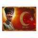 Seçili Renk Çok Renkli