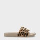  Renk Leopar
