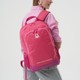 Renk Pembe