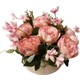  Renk Pembe