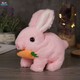 Seçili Renk Pembe