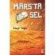 Seçili Renk --