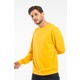  Renk Mustard