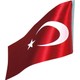 Seçili Renk Renkli