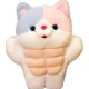  Renk Pembe