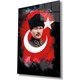 Seçili Renk Çok Renkli