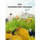 Seçili Renk Çok Renkli