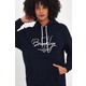  Renk Navy