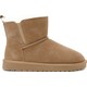  Renk Camel