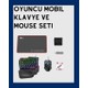 Seçili Renk Renkli