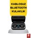 Seçili Renk Renkli