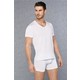  Renk XL
