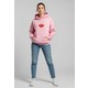  Renk Pembe