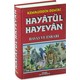 Seçili Renk Kırmızı