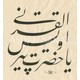 Seçili Renk 001-Renkli