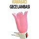  Renk Pembe