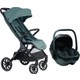 Renk Forest Green