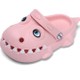  Renk Pembe
