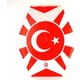 Seçili Renk Altın