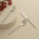 Seçili Renk Inox