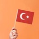 Seçili Renk Çok Renkli