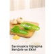 Seçili Renk Renkli