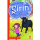 Seçili Renk Çok Renkli