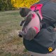  Renk Gri - Pembe