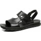  Renk Black