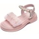  Renk Pembe