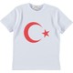 Seçili Renk Renkli