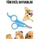 Seçili Renk Renkli