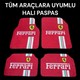 Seçili Renk 001-Renkli