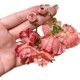  Renk Pembe