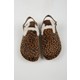  Renk Leopar