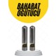 Seçili Renk Almond