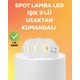 Seçili Renk Renkli