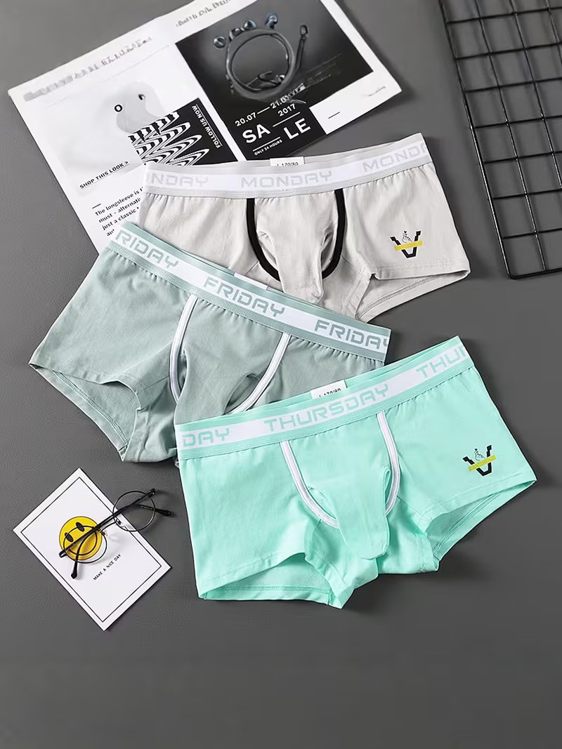 Traje Den Fil Burun Boxer görsel 4