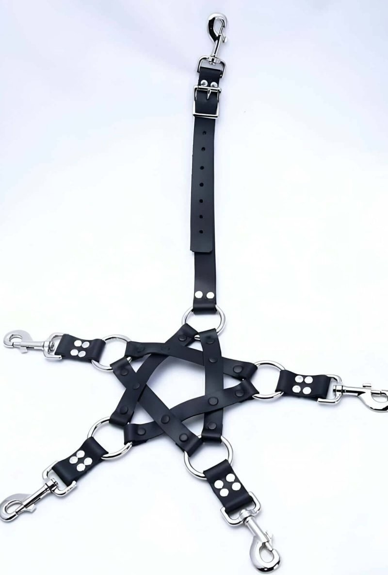 mery Erkek Fantazi Deri Harness Takım - BRFM86 Mery Woman görsel 4
