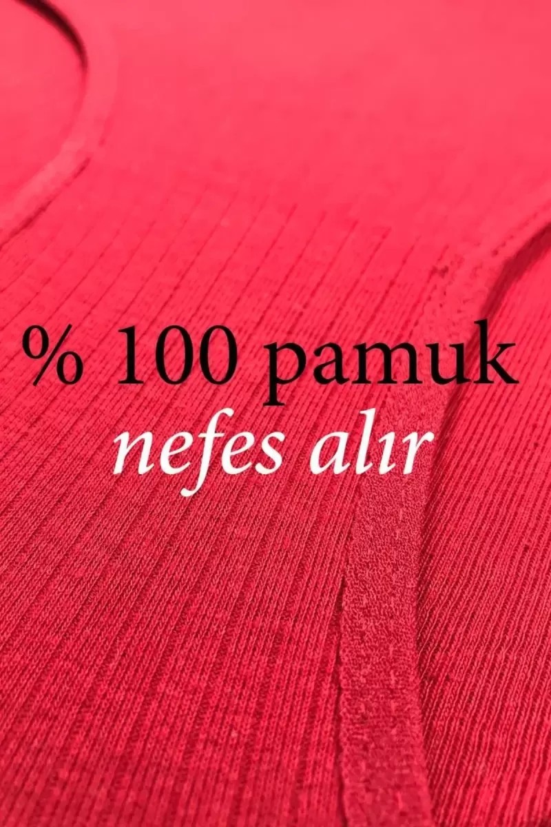 8 Adet Kadın Yüksek Bel Ribana Bato Külot S009 görsel 3