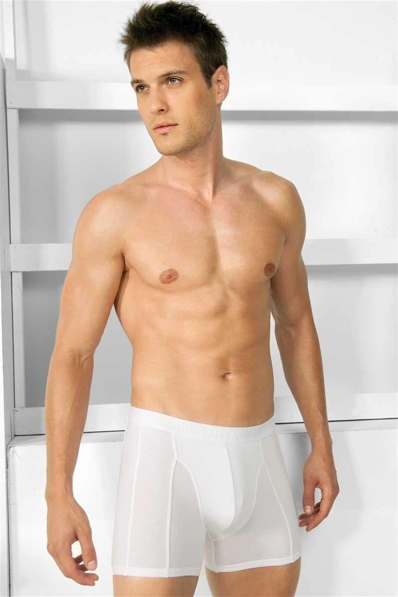 TKÇ Erkek Modal Klasik Boxer - KLBN28402 görsel 3