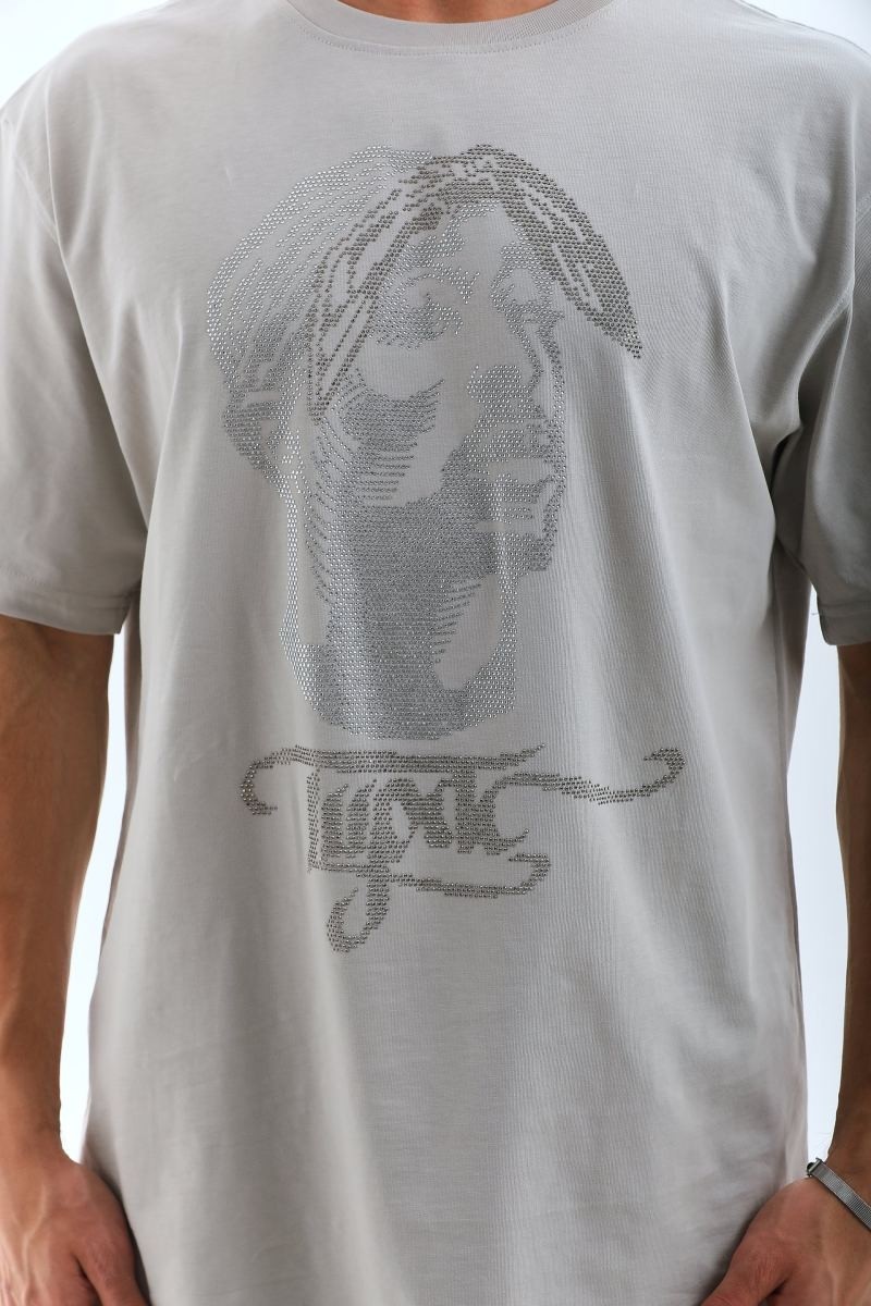 Fantastik Store Erkek Tişört Taş Detaylı Bisiklet Yaka kısa Kol T-Shirt - Gri görsel 3