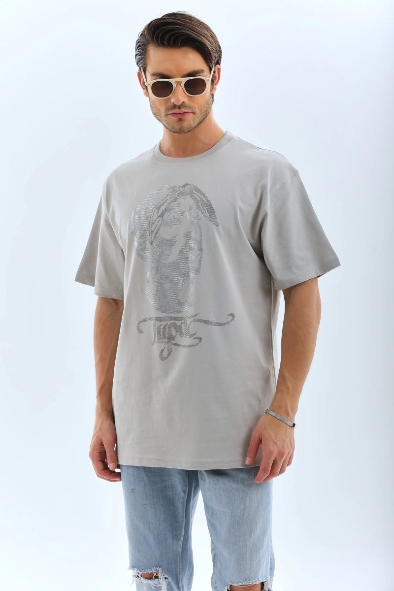 Fantastik Store Erkek Tişört Taş Detaylı Bisiklet Yaka kısa Kol T-Shirt - Gri görsel 4