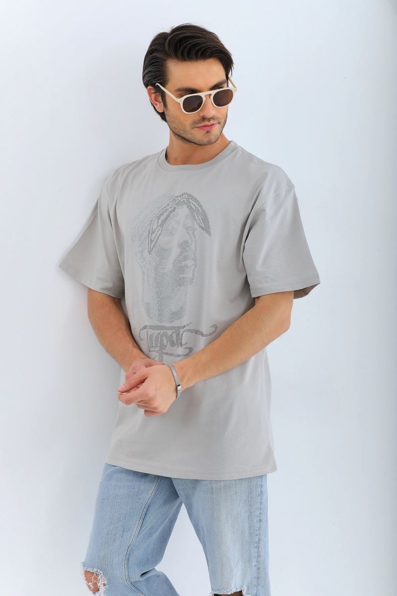 Fantastik Store Erkek Tişört Taş Detaylı Bisiklet Yaka kısa Kol T-Shirt - Gri görsel 6