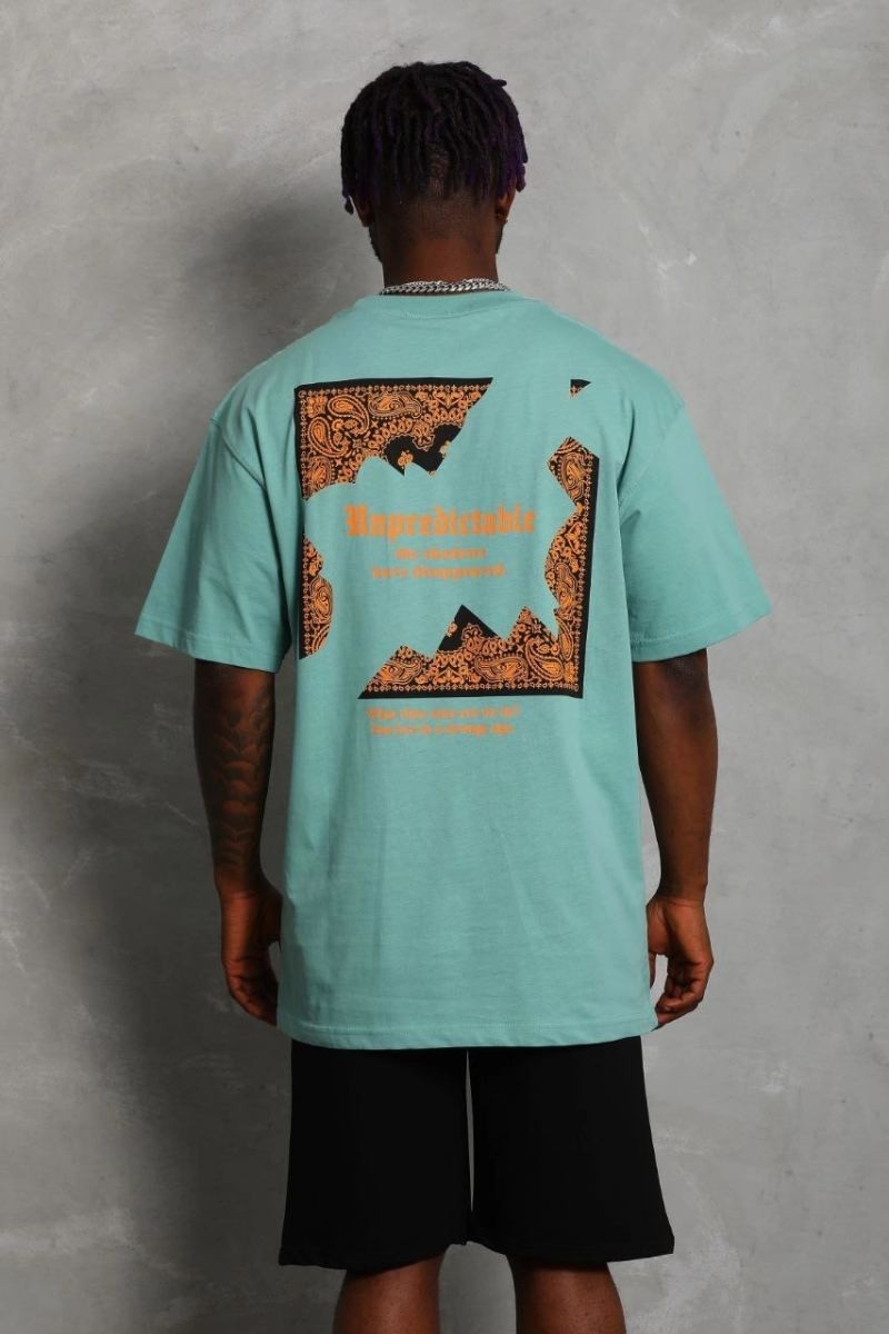 Fantastik Store Erkek Baskılı Tişört Kısa Kol Bisiklet Yaka Oversize T-Shirt - Mint Yeşili görsel 4