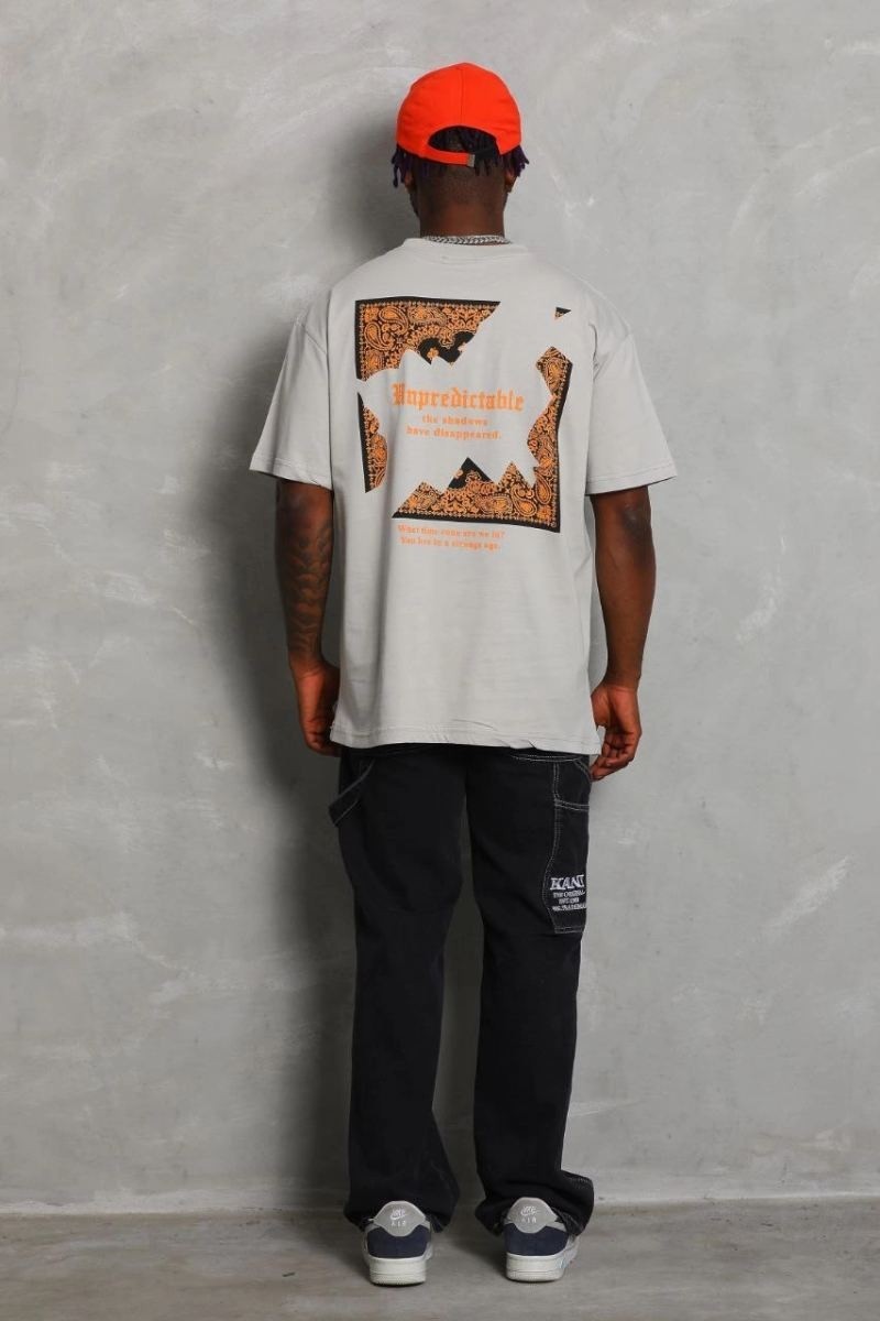 Fantastik Store Erkek Baskılı Tişört Kısa Kol Bisiklet Yaka Oversize T-Shirt - Gri görsel 3