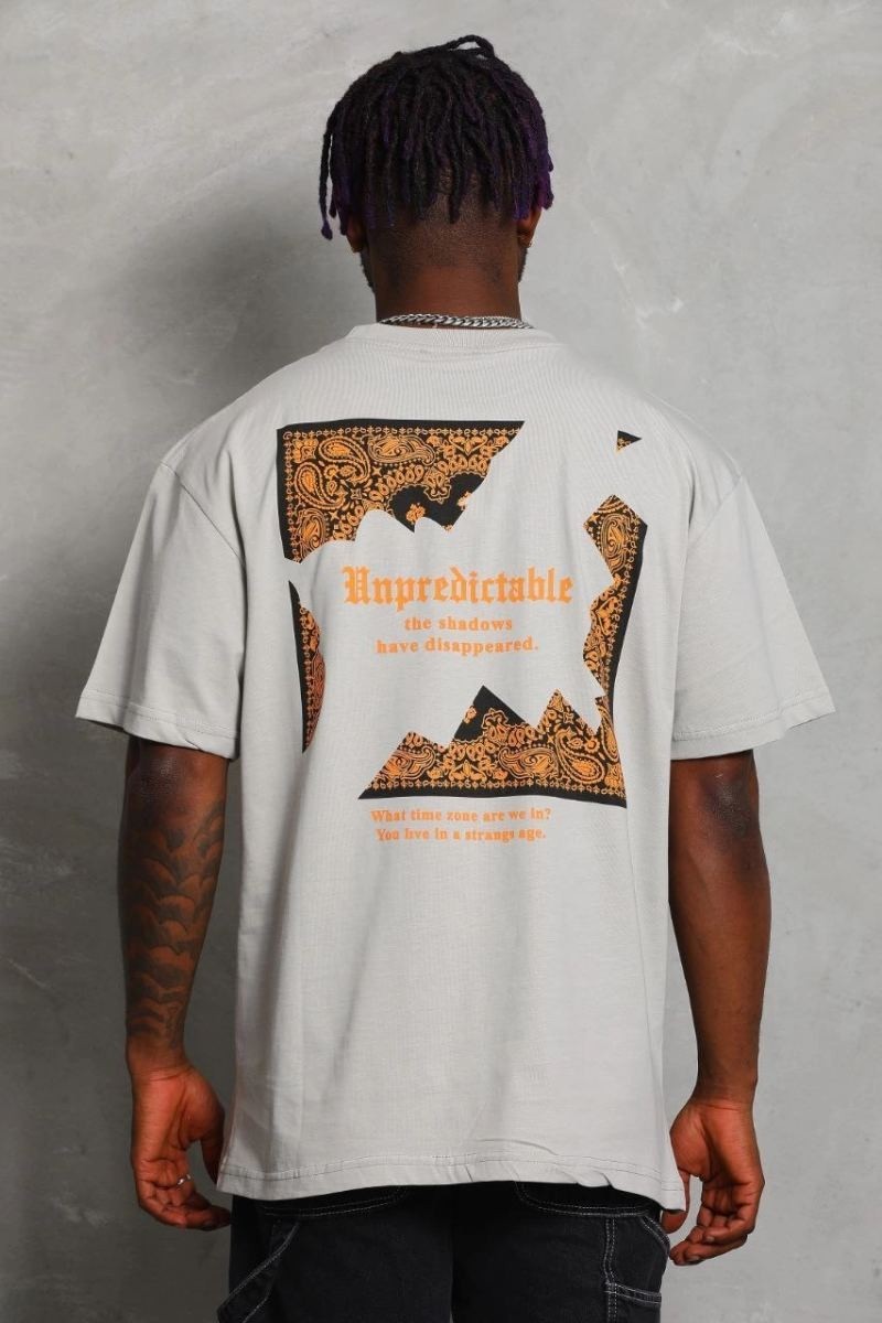 Fantastik Store Erkek Baskılı Tişört Kısa Kol Bisiklet Yaka Oversize T-Shirt - Gri görsel 5